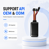 Mini traceur GPS GSM pour voiture, suivi en temps réel, alarme de survitesse, enregistreur vocal, stockage cloud, API OEM/ODM pour voitures et motos