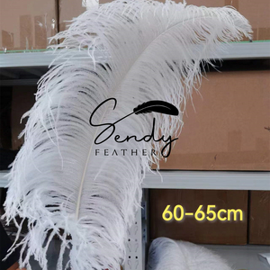 Plumes d'autruche blanches de haute qualité, grandes, de 24 à 26 pouces, pour la décoration de centres de table de carnaval, de festivals, de fêtes et de mariages (vente en gros) - Product Image 5