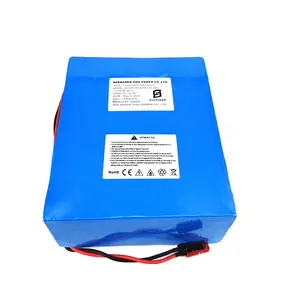 낮은 가격 도매 리튬 철 인산염 배터리 Lifepo4 48v 12ah 배터리 전자 제품