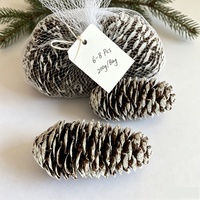 UMIND Cônes de pin naturels à pointes blanches givrées, 6-8 pièces, 200g, sac en filet, décorations de Noël rustiques, écologiques