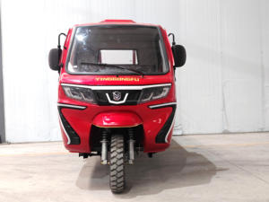 รถ200CC สามล้อ<span class=keywords><strong>บรรทุก</strong></span>สินค้า2ที่นั่งพร้อมห้องคนขับน้ำมันเบนซิน250CC 300CC ล้อมรอบด้วยห้องโดยสารรถสามล้อ - Product Image 2