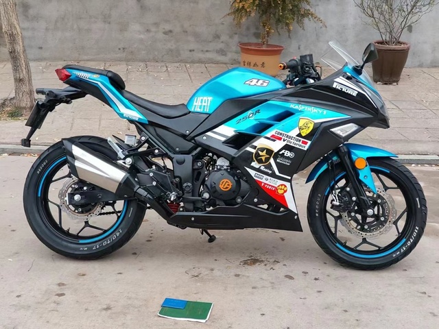 Ninja-Style Sport Motorcycle - Twin-Cylinder Water-Cooled, LCD Display, Disc Brakes & Stylish