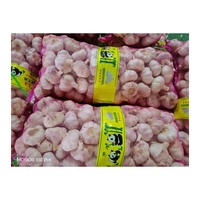 Ail en gros à bas prix, sac de 20 kg, ail blanc pur, exportateur en vrac, ail naturel de qualité supérieure blanc, violet et rouge