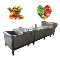 Hento Machinery Fruit- en groenteverblancheermachine / Tomatenverblancheermachine / Verblancheermachine