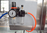 Machine de remplissage à pompe à engrenages à deux têtes, petite machine de mise en bouteille d'huile de soja, machine de remplissage de bouteilles d'huile de tournesol