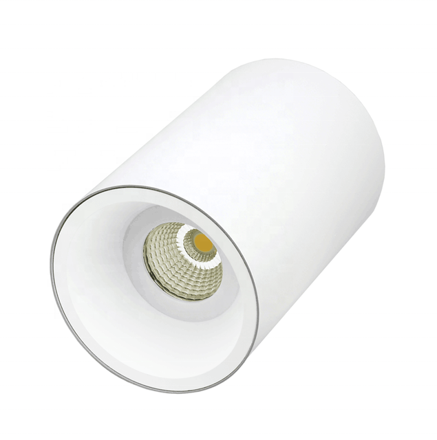 Hot Round Aluminum case Anti Glare Ceiling Spot Light Cob Led Downlight 10w 20w 30w Surface Mounted Down Lights with Reflector