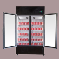 200L Vertical Porte En Verre De Refroidissement Statique Affichage Refroidisseur Boisson Bière Fleur Commercial