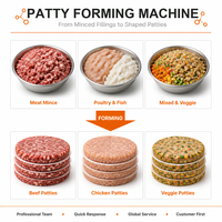 Machine industrielle de fabrication de galettes avec trémie de 30 L pour la production de viande de bœuf, de poulet et de poisson dans une ligne de production d'aliments surgelés