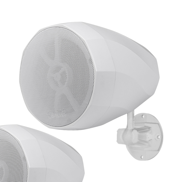 30w 5.25 Inch White Wall Mounted Speakers  for Classroom/shop