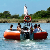 Bateau de fête flottant rond avec pare-chocs anti-collision, table de barbecue intégrée, auvent et barbecue pour la location