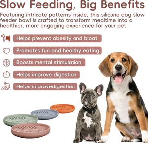 Comedero Lento de Silicona Ecológico Personalizado para Perros y Gatos, Diseño Moderno y Redondeado de Lujo, Duradero, Arcoíris, para Uso en Interiores - Product Image 2