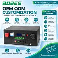 Batterie de chariot de golf LiFePO4 51,2 V 100 Ah, 48 V, à décharge profonde, rechargeable, avec BMS intelligent, OEM ODM