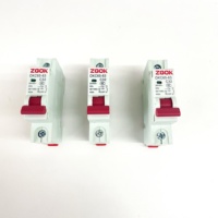 Disjoncteurs miniatures monophasés OKC65 10A 16A 20A 25A 32A 40A 50A 63A 80A 100A 240V, unipolaires et bipolaires, pour la vente