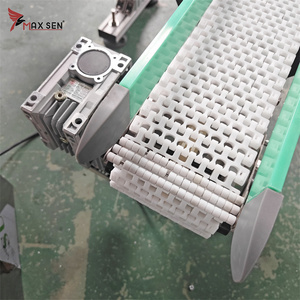 Maxsen yüksek kaliteli POM modüler bant konveyör yeni teknoloji plastik malzeme ile modüler tasarım doğrudan çin fabrikadan - Product Image 6