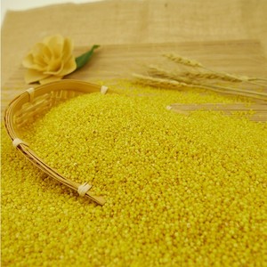 Xiaomi Millet Nihewan Miglio Giallo Decorticato Miglio a Grani - Product Image 2