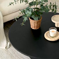 Table basse ronde noire de luxe nordique, cadre en fer minimaliste moderne, écologique et durable, meubles de salon, table d'appoint