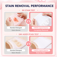 Lessive liquide pour lingerie à marque privée, détachant de sang 300ml, recharge en pochette à bec verseur pour sous-vêtements, OEM ODM Vente en gros