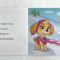 Coffret de 12 livres de phonétique Paw Patrol, collection de phonétique naturelle, modèle TY-300, fabriqué en Chine, papier artistique, impression numérique