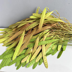 YOPIN-6076 Haricot long à tiges longues, feuilles plates, vert brunâtre, <span class=keywords><strong>plantes</strong></span> tombantes pour décoration de mariage - Product Image 4