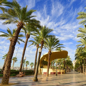 Venta al por mayor gran fecha falsa <span class=keywords><strong>palmera</strong></span> Faux gran cocotero realista cola de zorro artificial <span class=keywords><strong>Palmera</strong></span> al aire libre para la piscina decorativa - Product Image 3