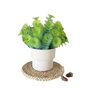 Plantes vertes artificielles Fuyu Collection, 23 cm, en plastique, décoration intérieure, ornement pour salon. - Product Image 5