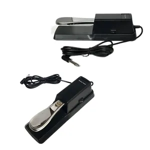 Hot Sale Sound Pianos Delay Sustain Pedal wholesale factory price Guitar Effect Sound Delay Pedal for Foot