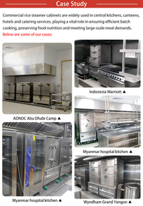 Multifunction Food Steamer Commercial Rice Cabinet 20 <b>Trays</b> Gas Type Machine 20-<b>Tray</b> <b>Large</b> Capacity Serves 300+ People Ideal for - Product Image 2