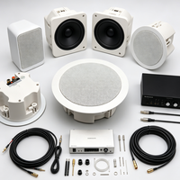 Haut-parleur de plafond encastré à faible distorsion, son clair, 30W, 92dB, woofer/tweeter 5 pouces, pour usage commercial intérieur, enceinte PA