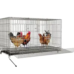 Giá cả phải chăng giá thiết kế hệ thống động vật gia cầm nhà trứng lớp gà Lồng cho Gà Thịt và gà con gà Coop