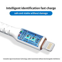 Tragbares Magnetisches Typ-C Schnellladekabel mit Selbstaufwickelfunktion - 20m Nylonkabel für Android & iPhone Computer Smartphone