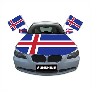 阳光户外活动国家汽车国旗窗夹聚酯冰岛定制汽车发动机罩镜子窗旗