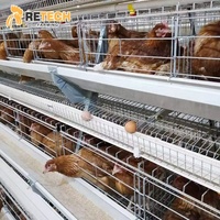 Équipement de Cage en Batterie de Type A pour Poules Pondantes en Élevage Avicole
