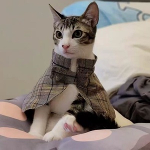 Chapeau et cape de détective pour chien Sherlock Holmes, en polyester écologique, amusant, à carreaux, pour l'Halloween, pour chat britannique à poils courts - Product Image 4