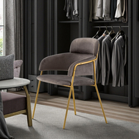 Chaise de salle à manger en métal de luxe légère pour hôtel coiffeuse de salon de manucure commerciale club usage domestique Internet favori des célébrités