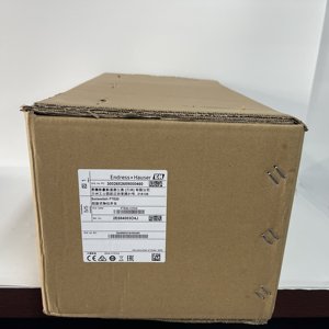 Interrupteur de niveau Endress+Hauser Soliswitch FTE20-AA13AA11 - Product Image 1