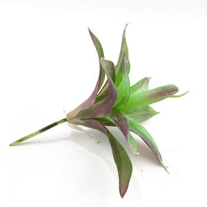 Venta de Decoración de Interiores, Planta Artificial de <span class=keywords><strong>Agave</strong></span>, Suculentas Artificiales - Product Image 4
