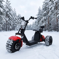 Sepeda Listrik Roda Tiga 2000W Rangka Aluminium 3 Kecepatan Baterai Terintegrasi Ban Lebar Citycoco Baterai Lithium 60V