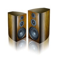 FUNINC Subwoofer passif mono professionnel de 15 pouces, 700 W, 8 ohms, de haute qualité, portable, pour intérieur/extérieur, en bois
