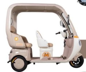 Tricycle électrique de haute qualité 2026 avec batterie au plomb-acide scellée 60V et moteur 650W sur le dessus - Product Image 5