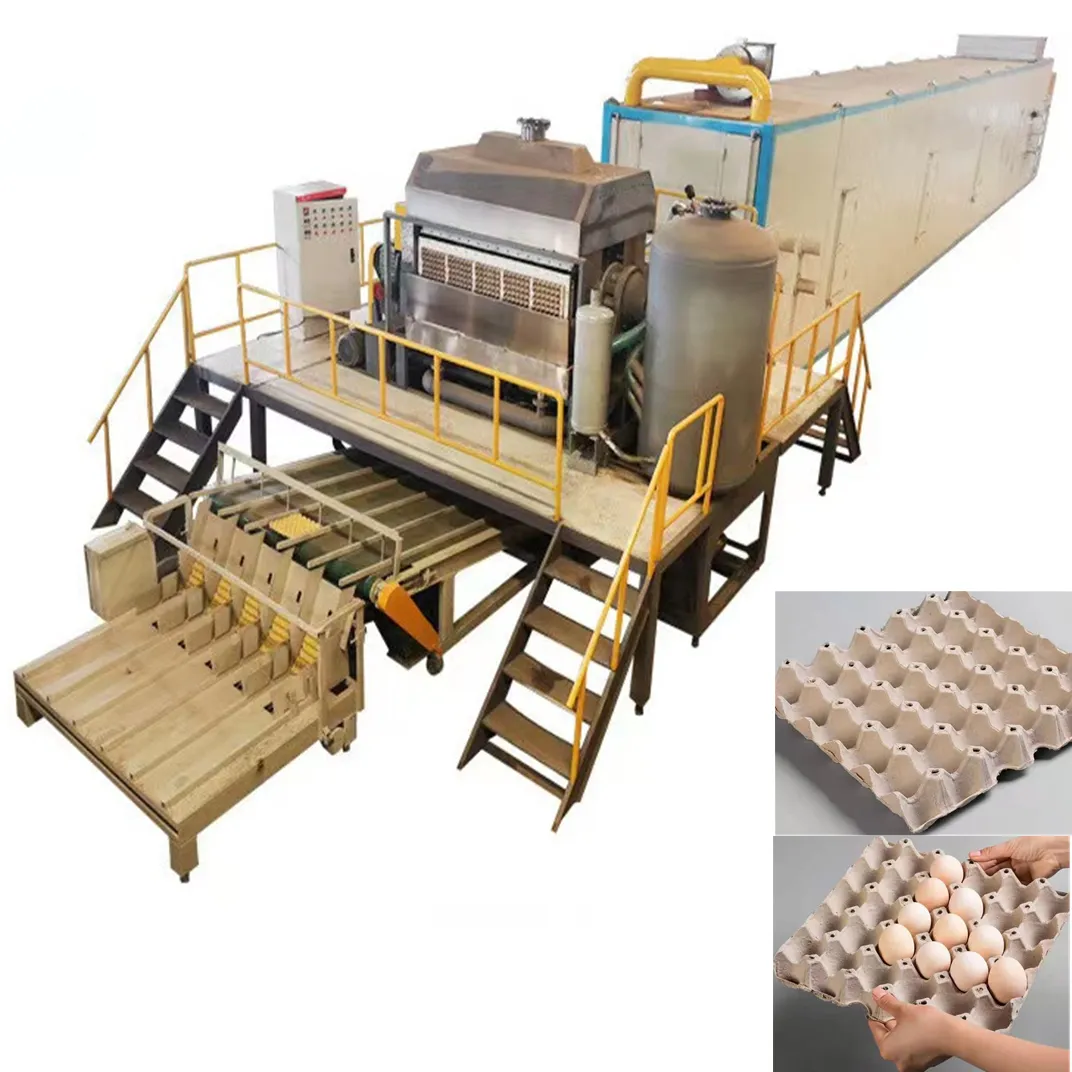 Línea de producción automática de bandeja de huevos de pulpa de papel, máquina de reciclaje de papel usado, máquina pequeña para fabricación de bandejas de huevos
