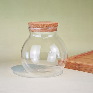 Pot en verre transparent exquis liège Micro paysage bouteille écologique Terrarium conteneur Aquarium veilleuse réservoir de poissons décor verre - Product Image 1
