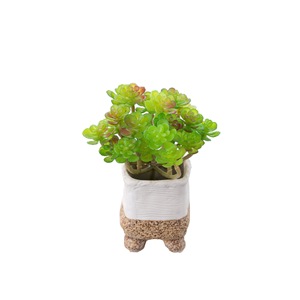 CallaFloral Plante succulente artificielle miniature pour décoration de mariage, artisanat, plastique vert, décoration intérieure et extérieure, 24 cactus fourchus - Product Image 5