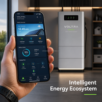 Batería Recargable de Pared LiFePO4 de 51.2V 100Ah, 5.12kWh, 6000 Ciclos, Híbrida, con CAN, para Almacenamiento de Energía Solar en el Hogar