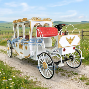 Nuevo Anuncio: Elegante Carruaje Eléctrico Royal Horse con Capacidad para 4-6 Personas, 4 Ruedas, Color Personalizado, sin Caballos, en Venta - Product Image 4