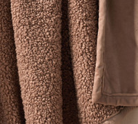 Confortable Bouclés Doux En Peluche Ruché Vison Couvertures pour L'hiver Pelliccia Mongolie Faux Fourrure De Vison Royal Teddy En Fausse Fourrure Jeter Couvertures