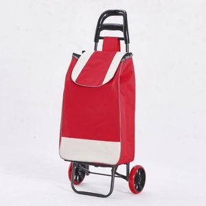 Carrito de Compras Plegable con 2 Ruedas y Logotipo Personalizado OEM Disponible - Product Image 6