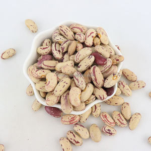 Frijoles Pintos Frijoles de riñón moteados ligeros secos orgánicos Frijoles de azúcar - Product Image 4