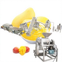 Ligne de production de jus de mangue à usage commercial, machine à pulper les bananes, extracteur de pulpe de fruits, machine d'extraction de jus de mangue
