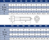 M10x25mm/30mm/35mm/40mm/65mm/70mm pas 1.5mm tête de colonne GR5 boulons en titane pour surron