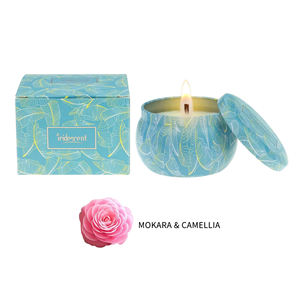 Juego <span class=keywords><strong>de</strong></span> regalo <span class=keywords><strong>de</strong></span> decoración del hogar <span class=keywords><strong>de</strong></span> cera <span class=keywords><strong>de</strong></span> soja iridiscente del mercado <span class=keywords><strong>de</strong></span> EE. UU. Vela perfumada <span class=keywords><strong>de</strong></span> pilar <span class=keywords><strong>de</strong></span> estaño perfumado barato - Product Image 6